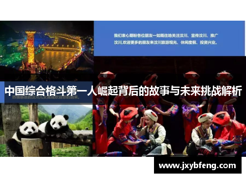 中国综合格斗第一人崛起背后的故事与未来挑战解析