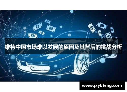 维特中国市场难以发展的原因及其背后的挑战分析