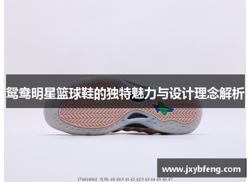 鸳鸯明星篮球鞋的独特魅力与设计理念解析