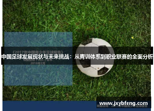 中国足球发展现状与未来挑战：从青训体系到职业联赛的全面分析
