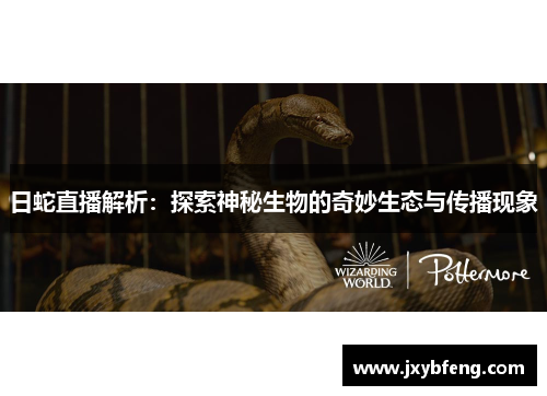日蛇直播解析：探索神秘生物的奇妙生态与传播现象