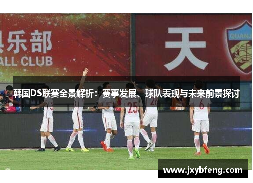 韩国DS联赛全景解析：赛事发展、球队表现与未来前景探讨